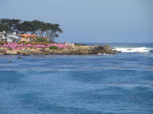 Pacific Grove California Sea Ocean Water Sky