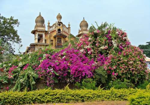 Palace Spire Bougainvillea Jamkhandi Karnataka