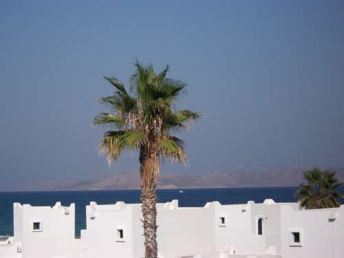 Palm Houses Building Mediterranean Sky Mountains