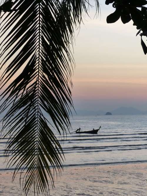 Palm Leaf Sunset Ao Nang Beach Krabi Thailand