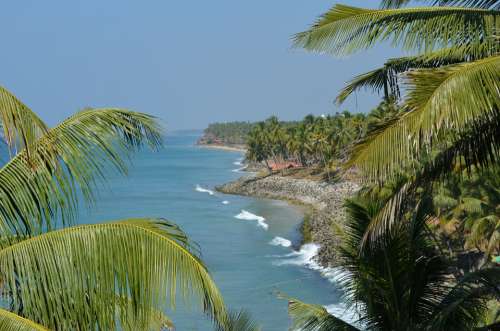 Palm Trees Palms Tropical Nature Beach Sea