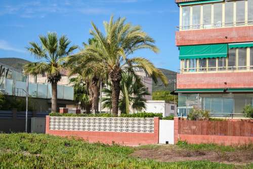 Palm Trees Architecture Holidays Holiday Spain