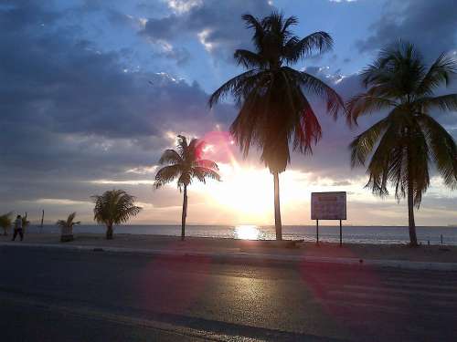 Palms Beach Sunset Landscape