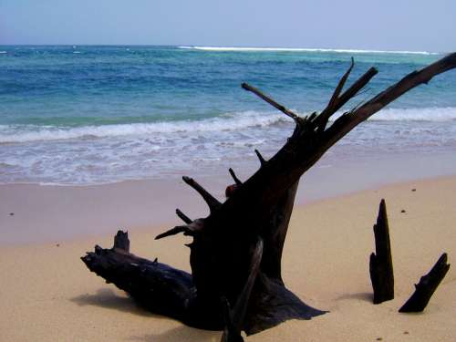 Pantai Nliyep Malang Jawa Timur Indonesia