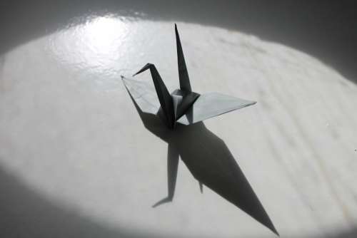 Paper Crane Crane Origami