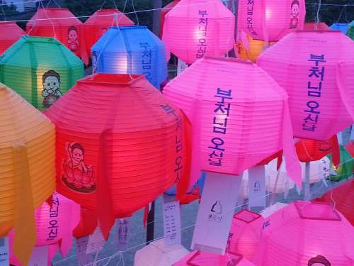 Paper Lantern Lampion Festival Lotus Korea Seoul