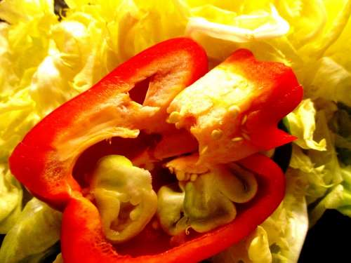 Paprika Red Vegetables Salad Cores Endive Yellow