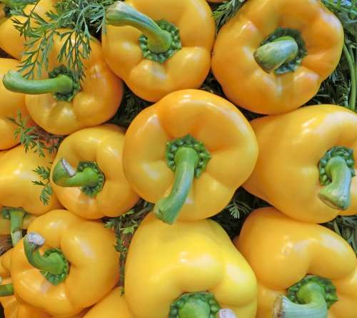 Paprika Yellow Healthy Market Vegetables