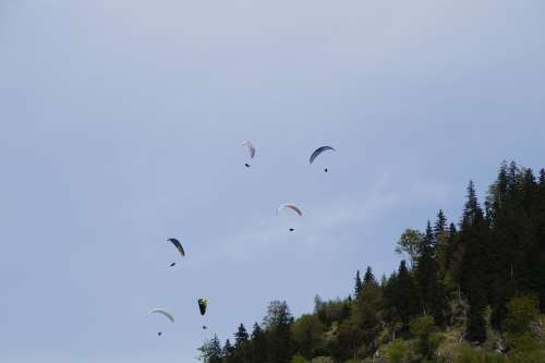 Parachute Parachutist Skydiving Championship