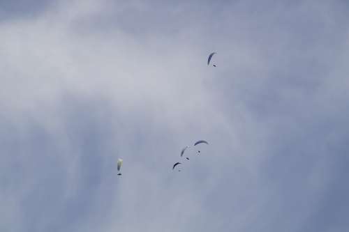 Parachute Parachutist Skydiving Championship