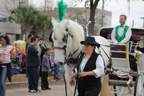 Parade Horse Carriage Ride Irish Parade Festival