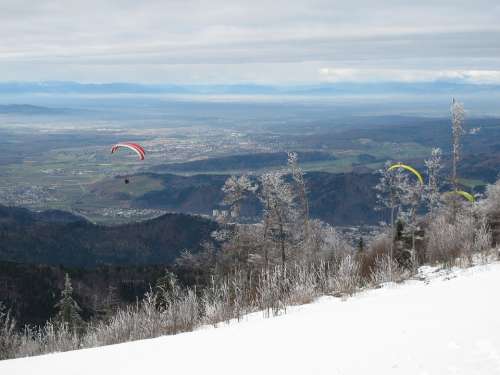 Paraglider Paragliding Air Sports Flying Sky