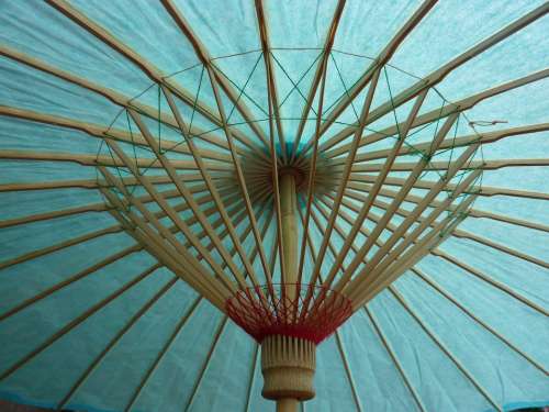 Parasol Screen Turquoise Surface Shade Tree