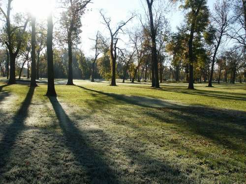 Park Morning Dew Frost Trees Autumn Public