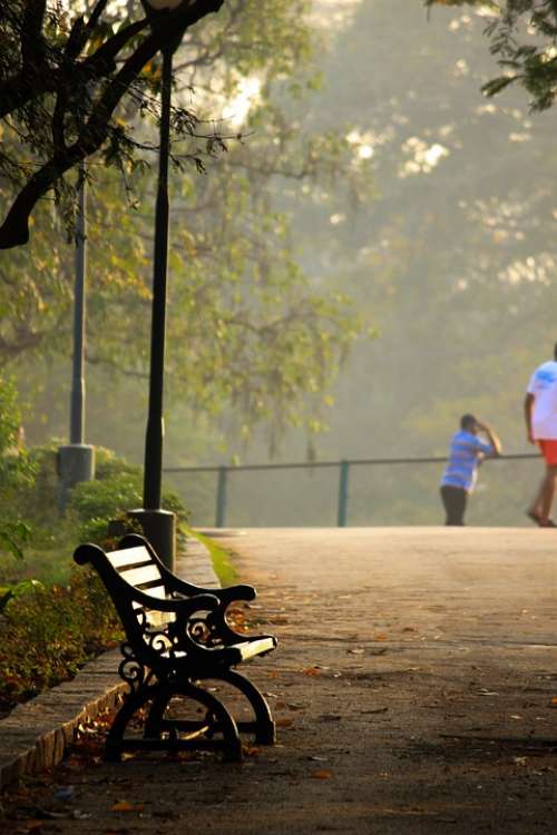 Park Garden Nature Bench Outdoors Park Bench