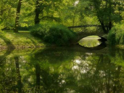 Park Green Bridge Pond