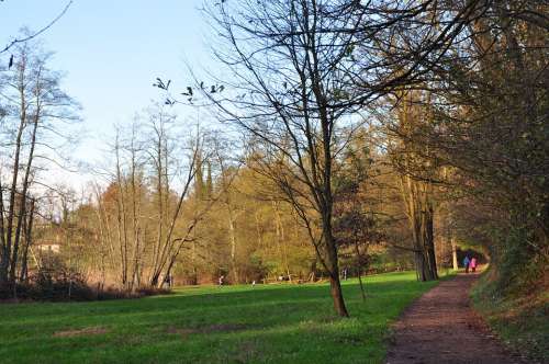 Park Nature Outdoors Trees Landscape Leisure