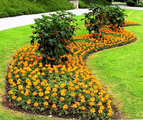 Park Discounts Flower Bed Flowers Ornamental Plants