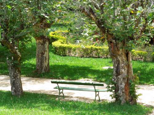 Park Trees Park Bench Landscape