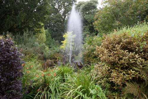 Park Fountain Trees Rest Landscape Idyll Green