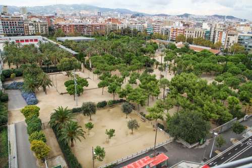 Park Tree Street Barcelona Spain