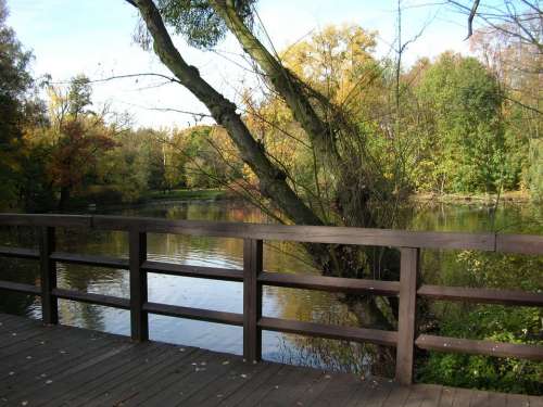 Park Autumn Bridge Lake