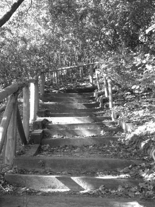 Park Traik Steps Black And White Trail Nature