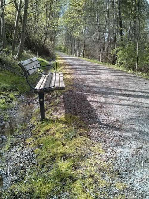 Park Bench Trail Spring Nature Perspective