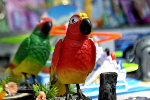 Parrots Toys Plastic Artificial Toy Color