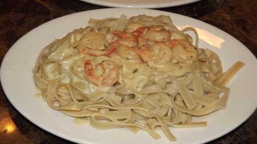 Pasta Ital Plate Food Spaghetti Shrimp Alfredo