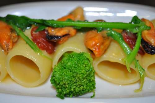 Pasta Food Dish Kitchen Mussels Broccoli Eat