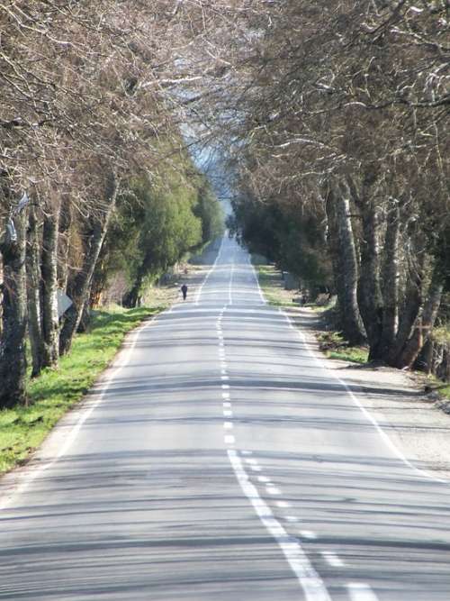 Path Street Via Field Rural