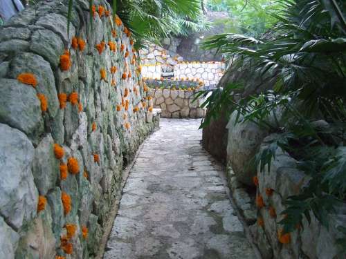 Path Marigolds Flower Rocks Plants Xcaret Dead