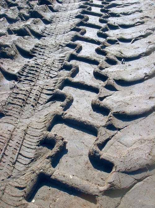 Path Field Print Clay Tractor Tire