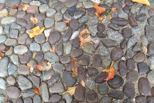 Pavers Fall Leaves Texture Stones Dead Leaf
