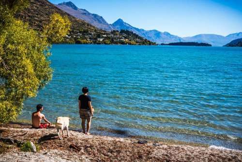 Peace Park Lake Wapatiku Queenstown New Zealand Dog