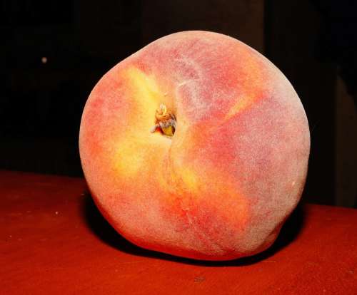 Peach Stone Fruit Furry Peach Prunus Persica