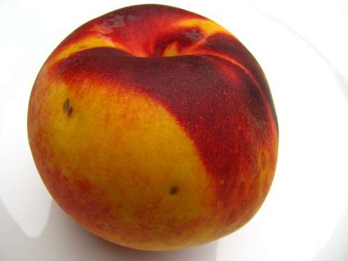 Peach Fruit Yellow Red Juicy Ripe Delicious