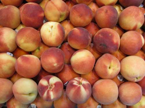 Peaches Fresh Fruit Sweet Ripe Juicy Orange