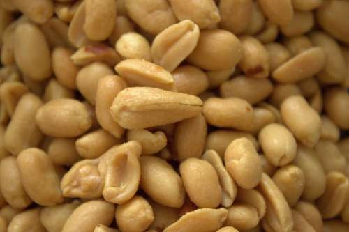 Peanuts Snack Nuts Peanut