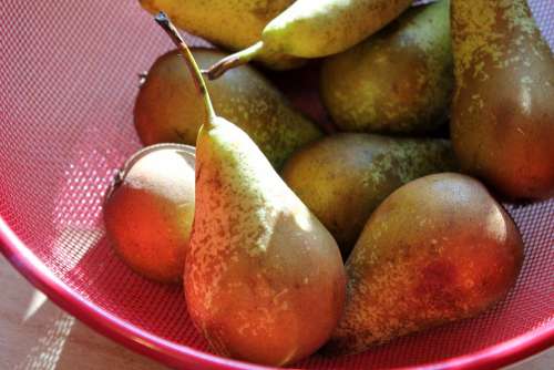 Pear Fruits Fruit