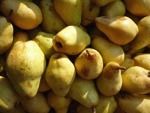 Pears Fruit Fruits Sweet Delicious Healthy
