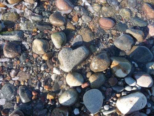Pebbles Heart Stone Baltic Sea Water Flint Pebble