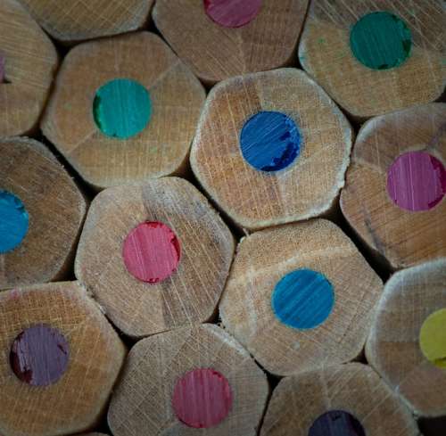 Pencils Colors Lines Wood Forest Instrument