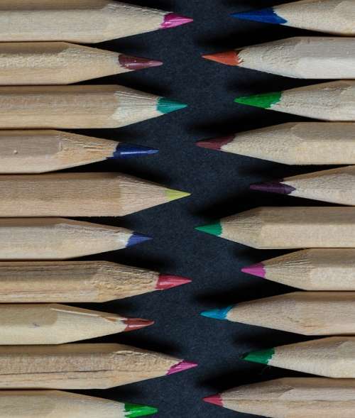 Pencils Colors Lines Wood Forest Instrument