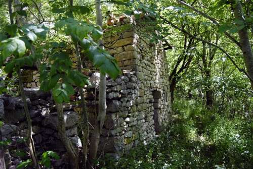 People Abandoned Houses Old Trees Weed Asturias