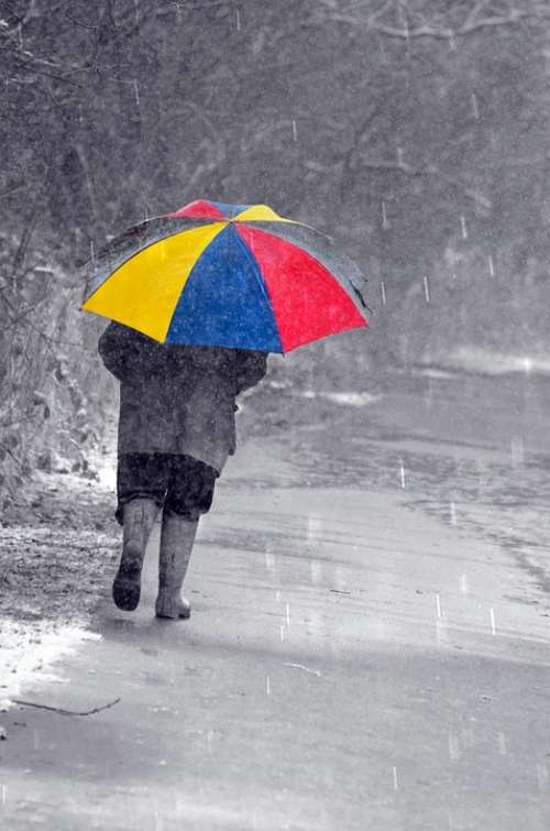 People Man Men Umbrella Color Rain Snow Weather