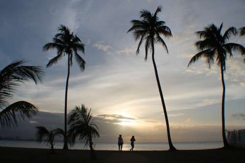 People Palms Sunset Tropical Silhouette Sky Sun