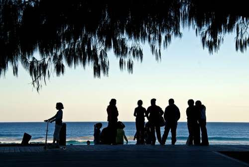 People Silhouettes Coast Sea Ocean Tree Group