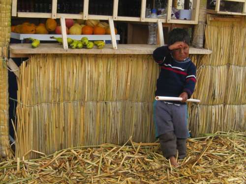 Peru Boy Hut Reed Island Child Peruvians Human